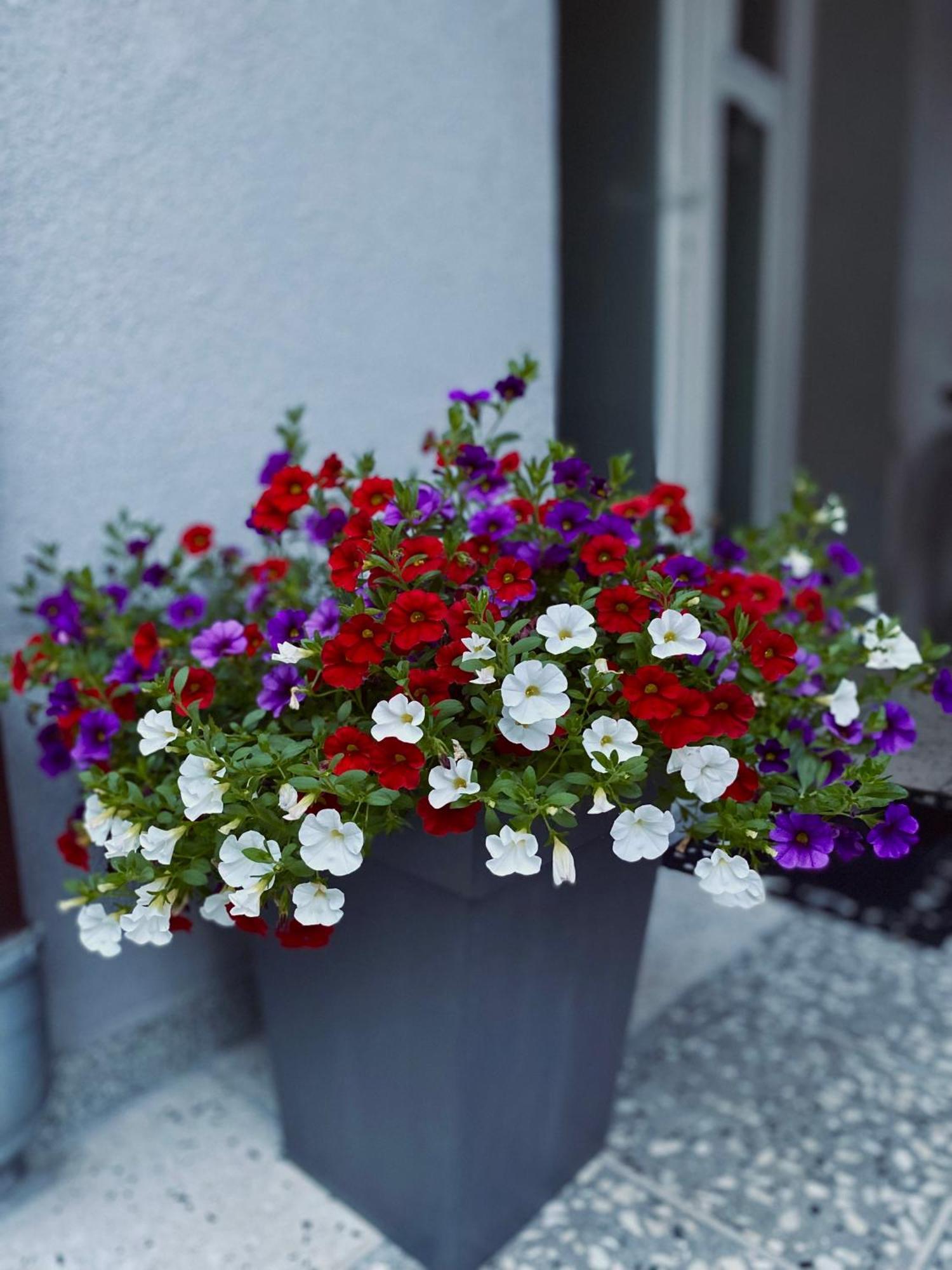 Greenhill Apartments Kumanova Dış mekan fotoğraf
