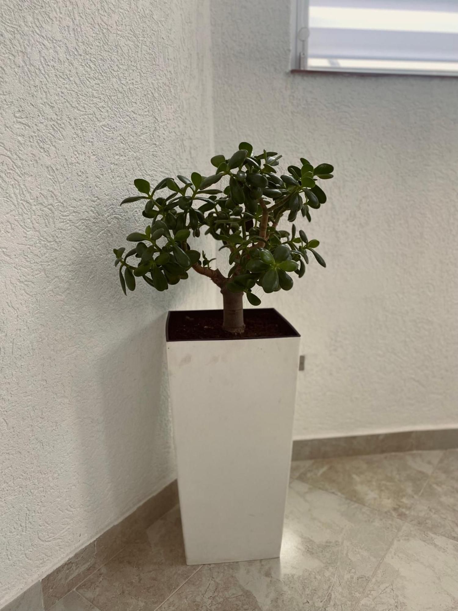 Greenhill Apartments Kumanova Dış mekan fotoğraf