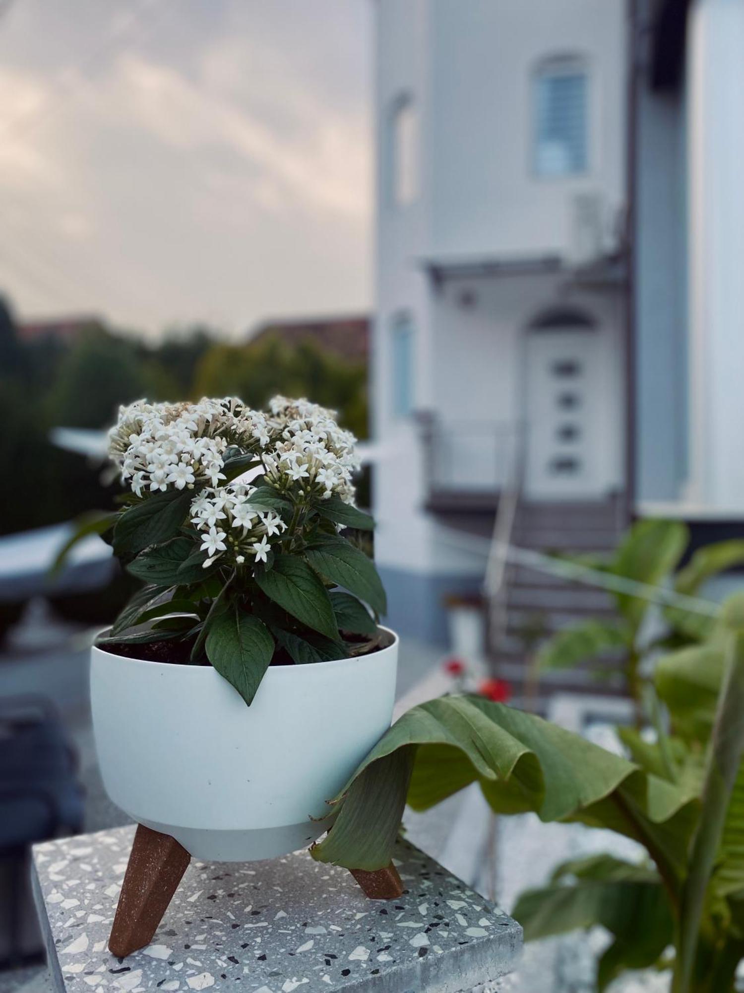 Greenhill Apartments Kumanova Dış mekan fotoğraf
